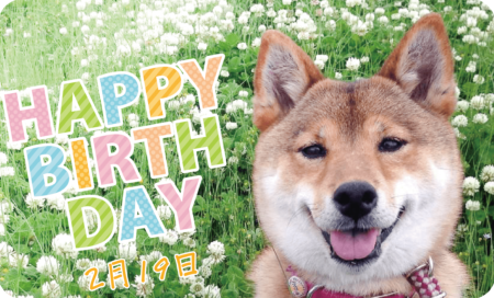 ２月１９日は看板犬「つくし」の誕生日