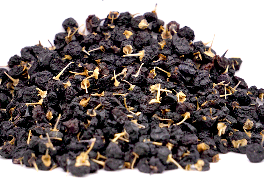 黒枸杞 クロクコ Dog Pool