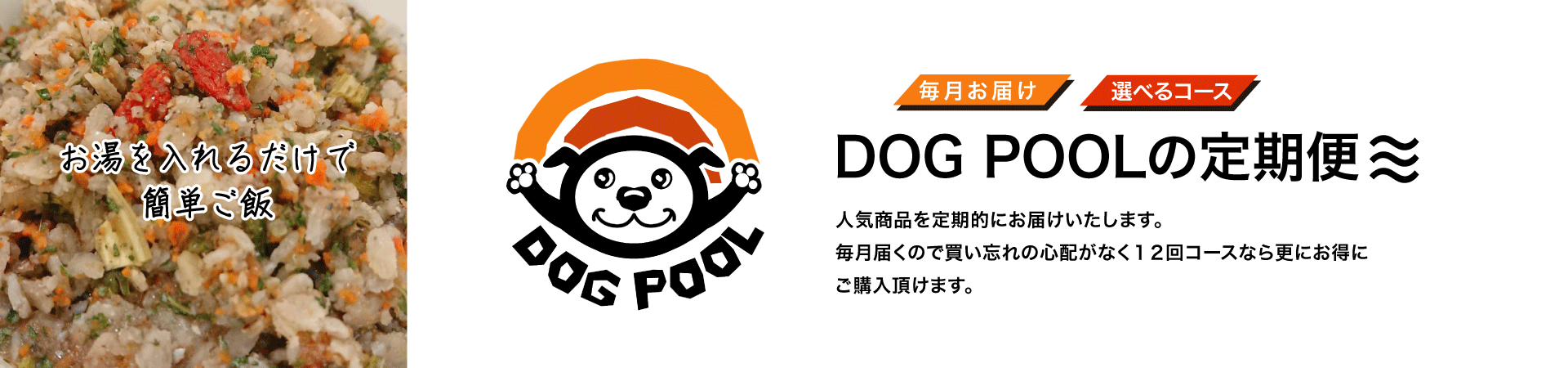 DOG POOLの定期便スタート!!